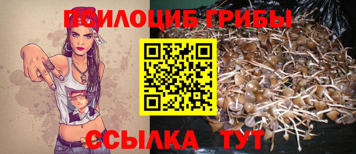 Псилоцибиновые грибы Magic Shrooms Ефремов